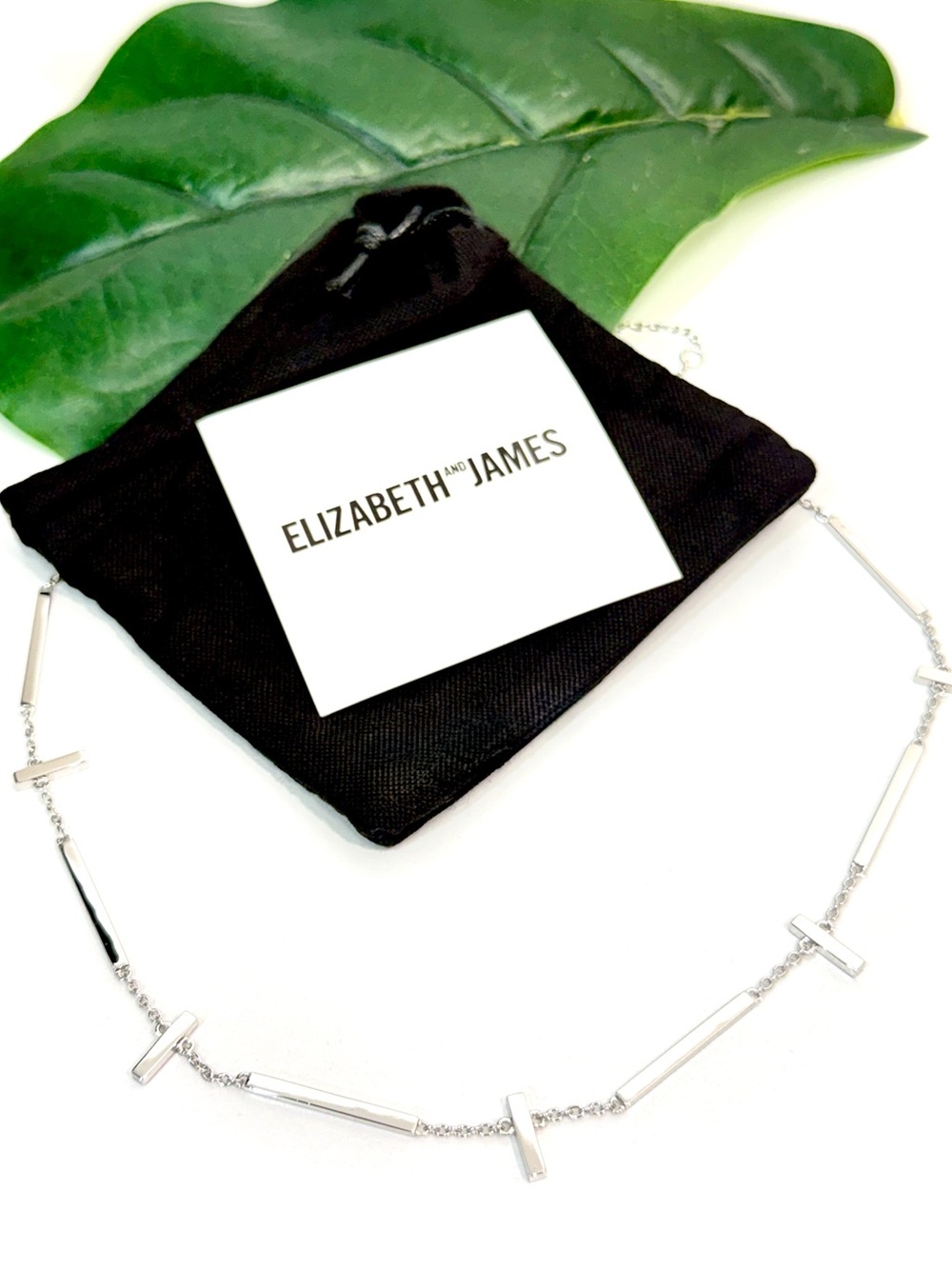 Elizabeth and James Arbus Silver Bar Station Necklace 16” NWT